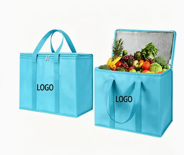 Blue insulated ice bag, zippered closure, cooling function visible, outdoor scene